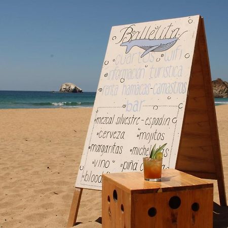 Ballelita Zipolite Ngoại thất bức ảnh