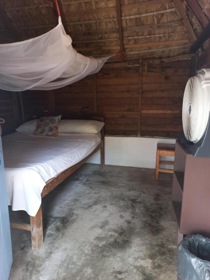 Ballelita Zipolite Ngoại thất bức ảnh