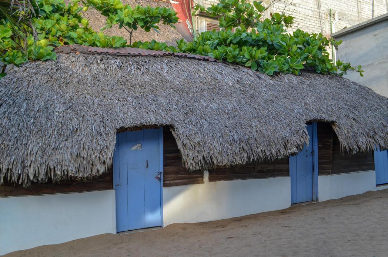 Ballelita Zipolite Ngoại thất bức ảnh