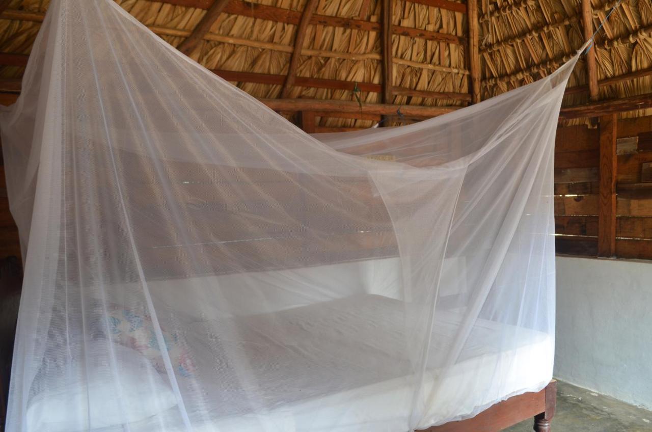 Ballelita Zipolite Ngoại thất bức ảnh